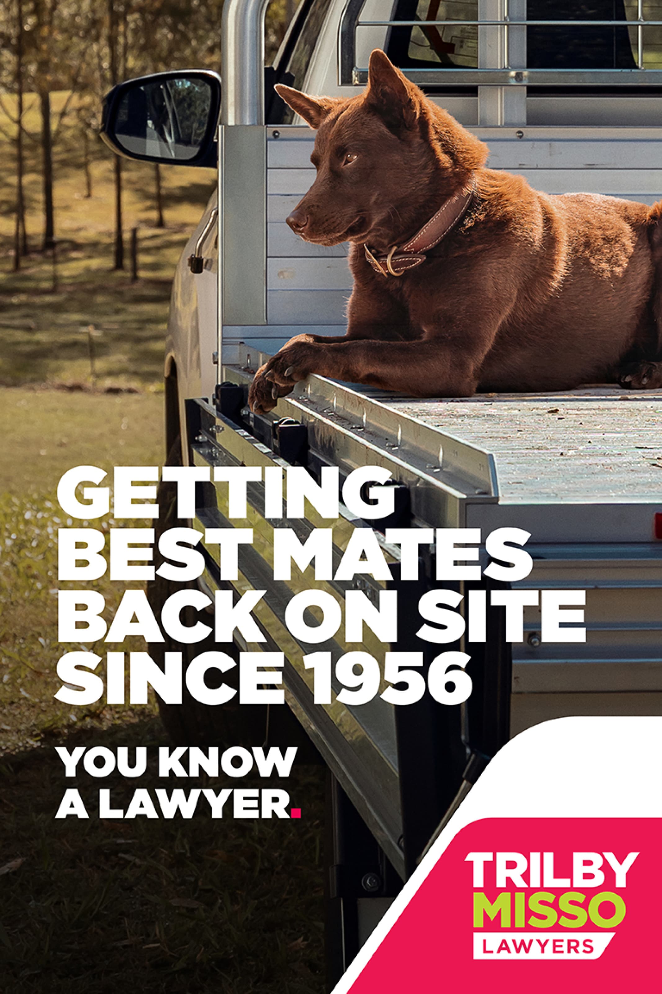 Trilby Misso_2026_Adshel_02