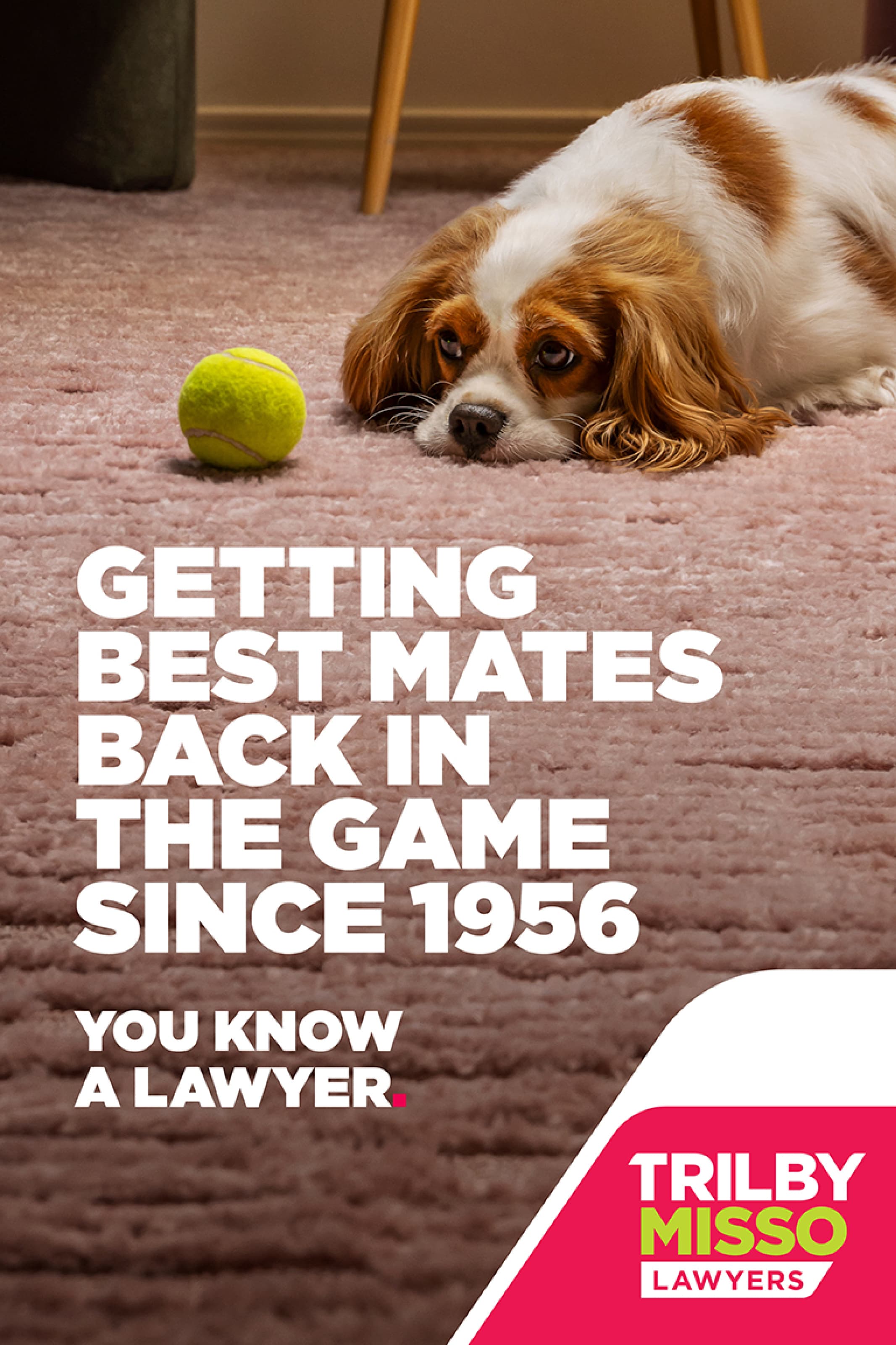 Trilby Misso_2026_Adshel_05