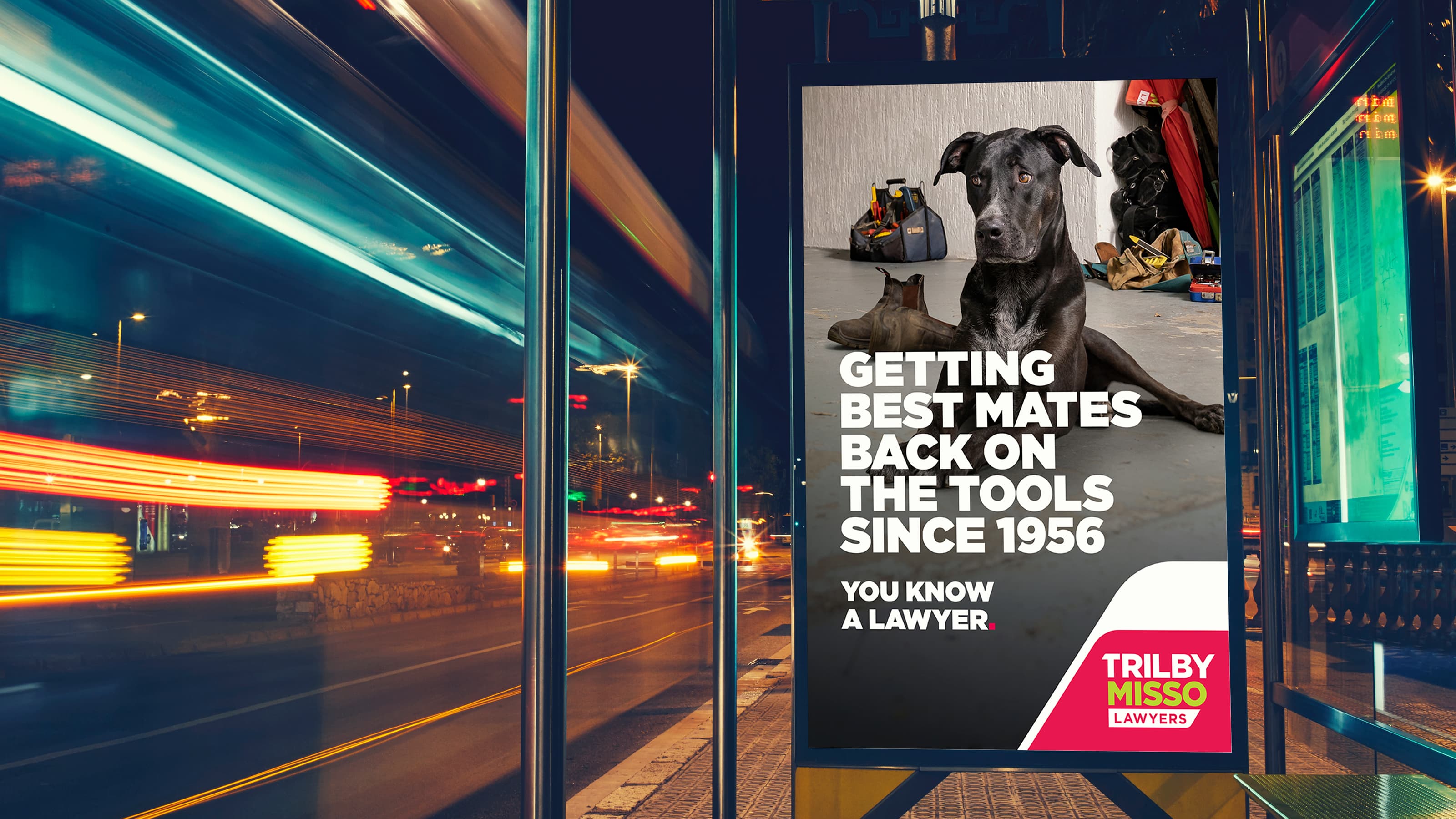 Trilby Misso_2026_Adshel_insitu