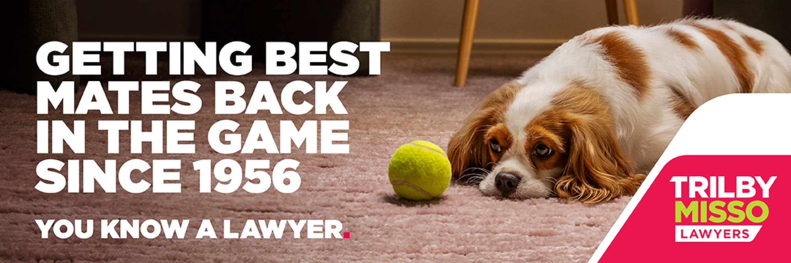 Trilby Misso_2026_Billboard_05