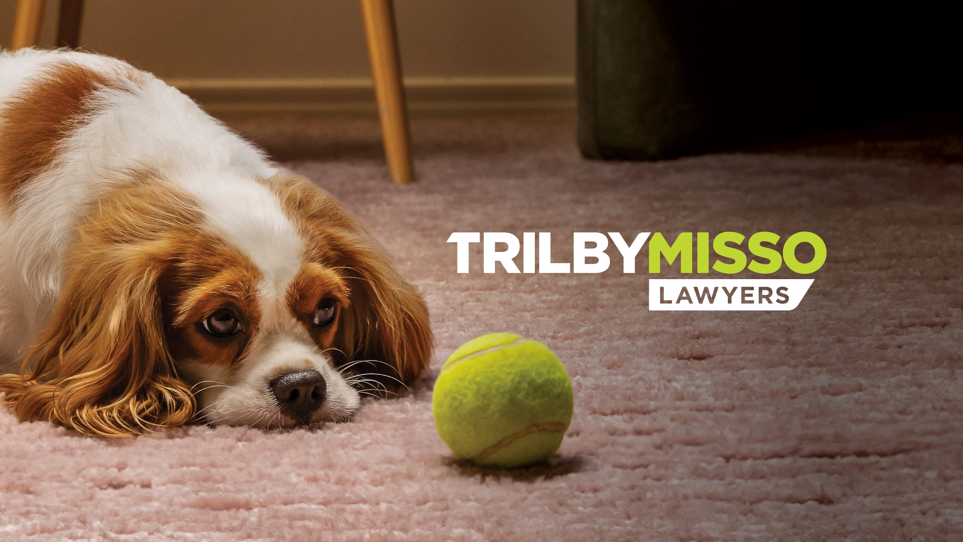 Trilby Misso_2026_List